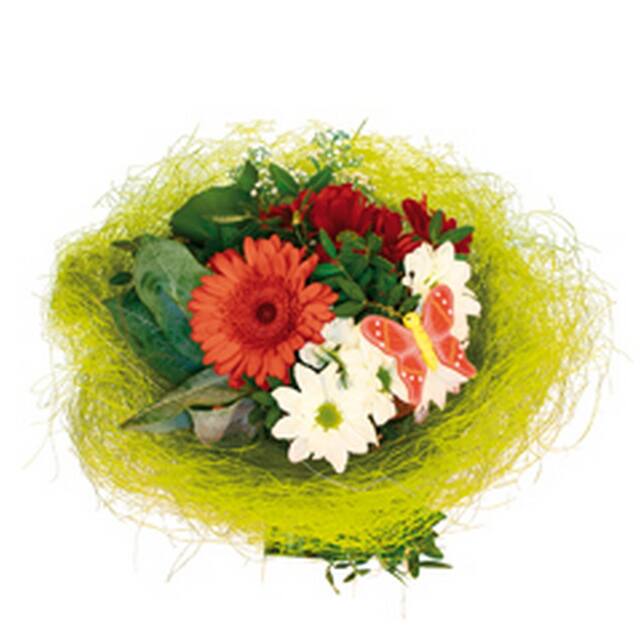 Round Sisal Roset Light Green