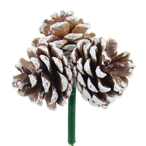 3 Pinecone Pick White 