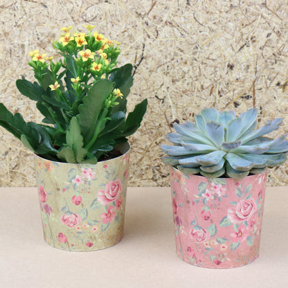 Poetry Paper Cup Pink, Green with Plants