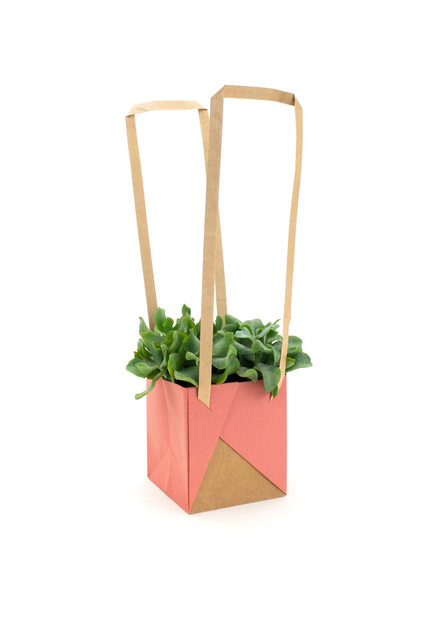 Unifold Bag 14x12x12cm Pink with plant